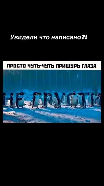 увидели, что написано? #топ #реки #top #shorts #приколы смотреть онлайн
