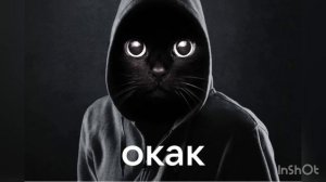 «Окак»: что значит новый мем с черным котом в капюшоне?
