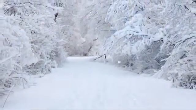 ПЕСЕНКА ПРО МАМОНТОВ смотреть онлайн