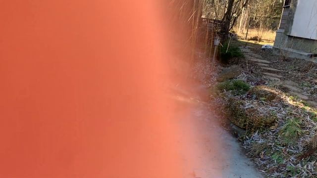 Жаркий март! Розы, подснежники!