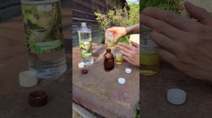 Разбавитель для масляной живописи своими руками. "Тро?