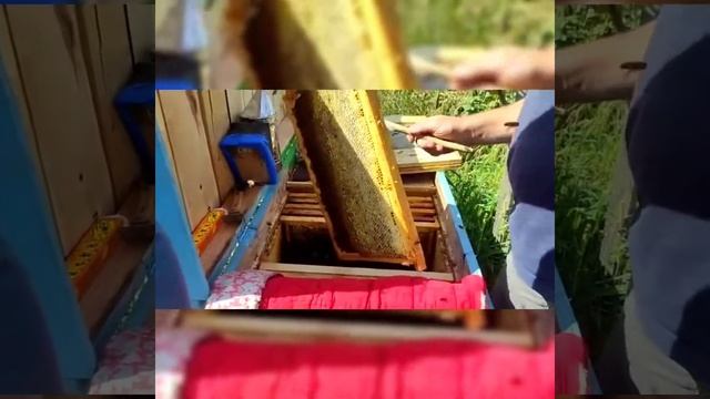 Маточниковий відводок 2 смотреть онлайн