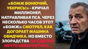«СПУСКАЙ ПСОВ!» – приказал БОГАЧ, УВИДЕВ БОМЖА. Но СУДЬБА ГОТОВИЛА ИМ новую ВСТРЕЧУ.