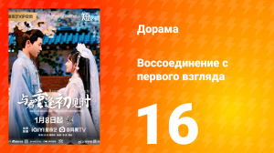 Воссоединение с первого взгляда 1 сезон 16 серия