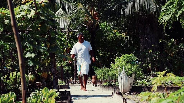 Отель Coco Collection | Rediscover Life's Beauty