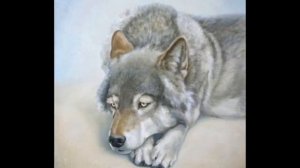 По ту сторону волков