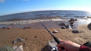 Финский залив. Рыбалка с берега 20.05.25.