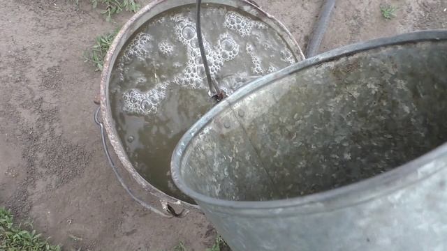 Жидкая подкормка клубники весной