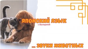 Как звучат звуки животных на японском языке?