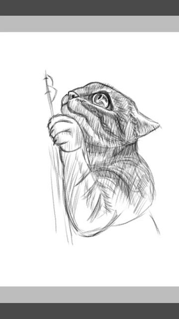 Кот точит когти / Draw the cat is sharpening its claws смотреть онлайн