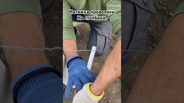 Натяжка проволоки на виноградные столбики. #новопавло смотреть онлайн