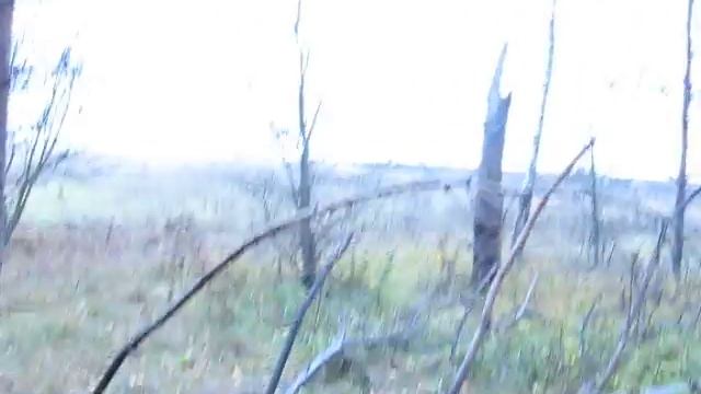 охота 4 смотреть онлайн