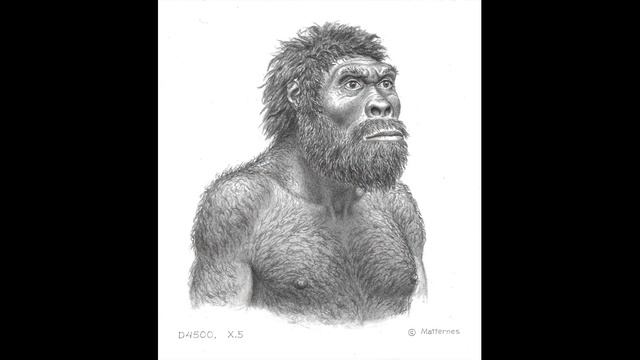 Питекантроп уже не обезьяна но еще не человек