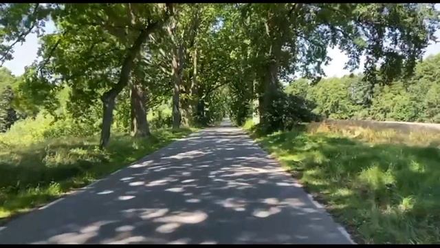 Как мы ехали с собакой на велосипеде в Польше/Микрорай смотреть онлайн