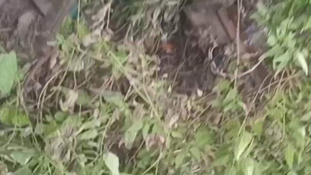 Пытаюсь завести скутер