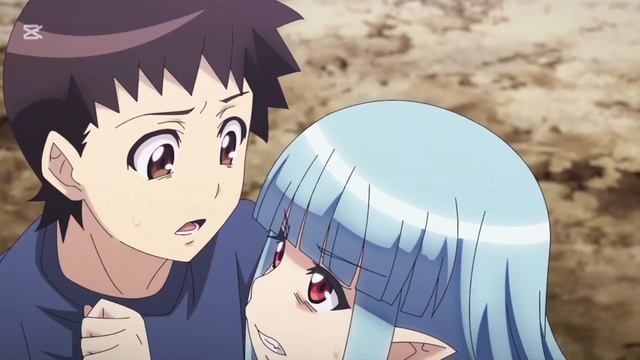 ТОП АНИМЕ ГАРЕМ №4