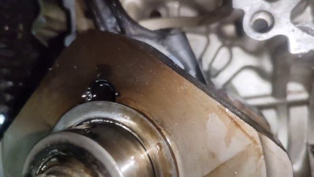 Клин двигателя Suzuki sv 650. Разборка двигателя Suzuki sv 650. смотреть онлайн
