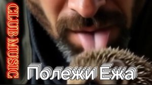 МУЗЫКА - ПОЛЕЖИ ЕЖА, DANCE, DISCO, CLUB MUSIC