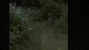 Оборотни снятые на камеру / страшные видео из интернет