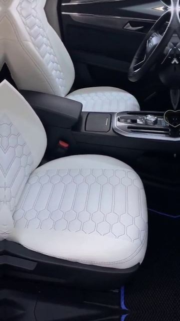 Авточехлы на Haval Jolion смотреть онлайн