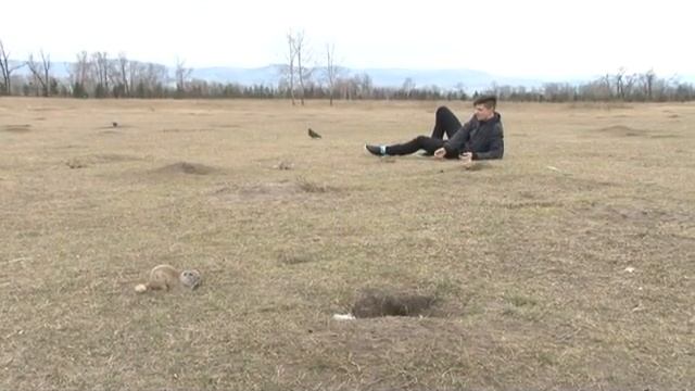Погоня за сусликами 2 смотреть онлайн