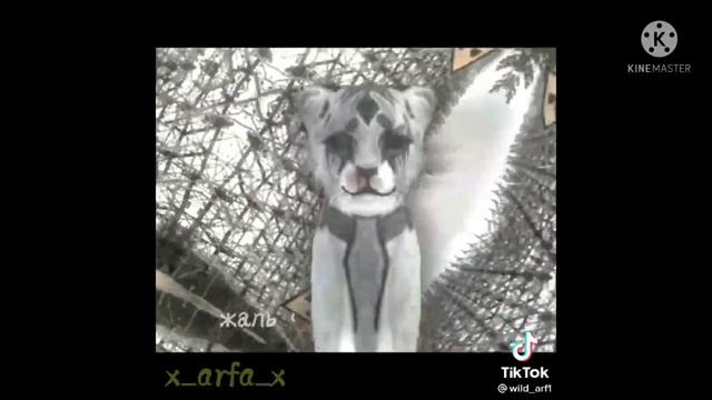 подборка Видео вилд крафт из тик ток 1 часть смотреть онлайн