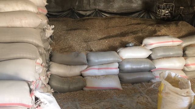 Дроблю корм , 50/50 пшеница /кукуруза смотреть онлайн