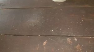 Замена коленвалов Иж Юпитер 5! Чуть не спалил мотор!Час