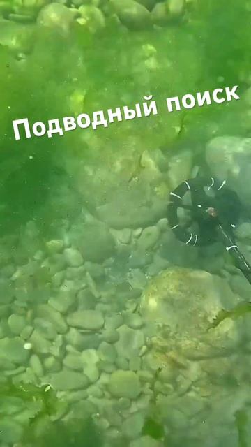 Подводный поиск с Equinox #металлоискатель #equinox #коп #море смотреть онлайн