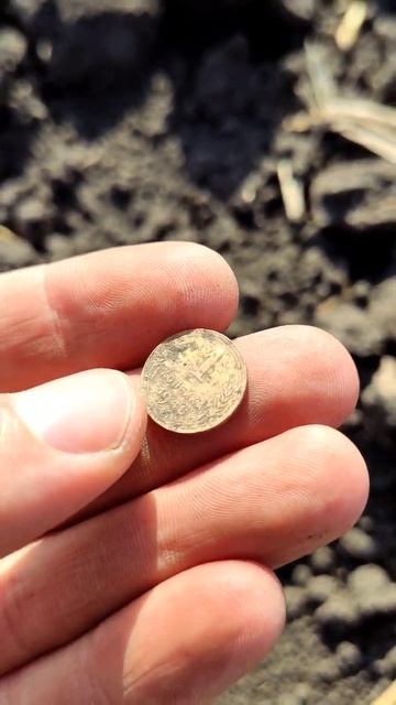 Да сколько же монет на этом поле? Ищем их с металлоиска смотреть онлайн