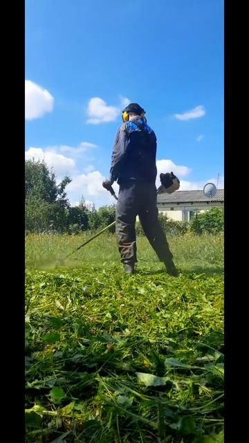 Покос травы STIHL FS 250 смотреть онлайн