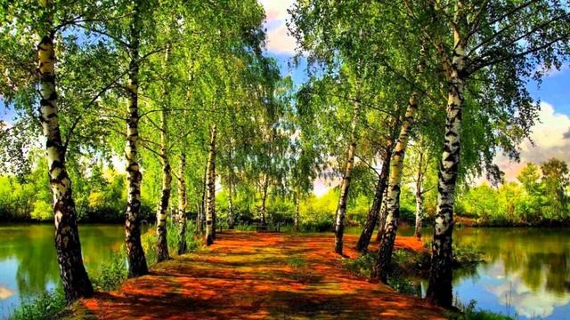 Мне бы надеть платье. смотреть онлайн