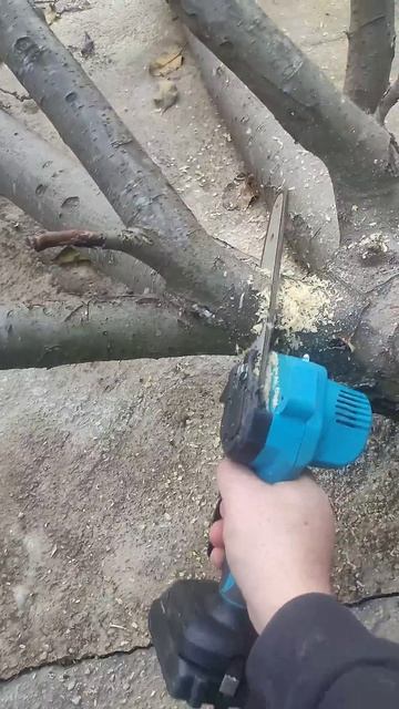 Хороший помощник во дворе с разпилом веток и небольши? смотреть онлайн