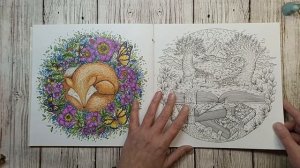 Коллекция раскрасок | часть V