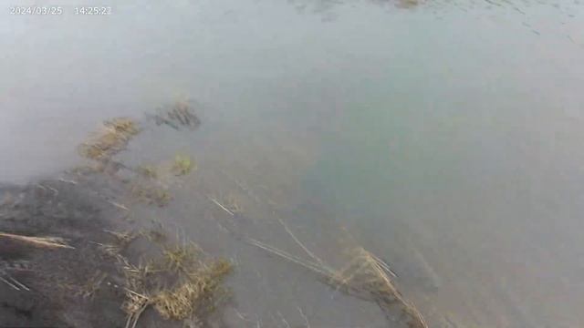 Эндуро выходные! Kayo T2 MX! Progasi Ibiza 300! Красивая природа!