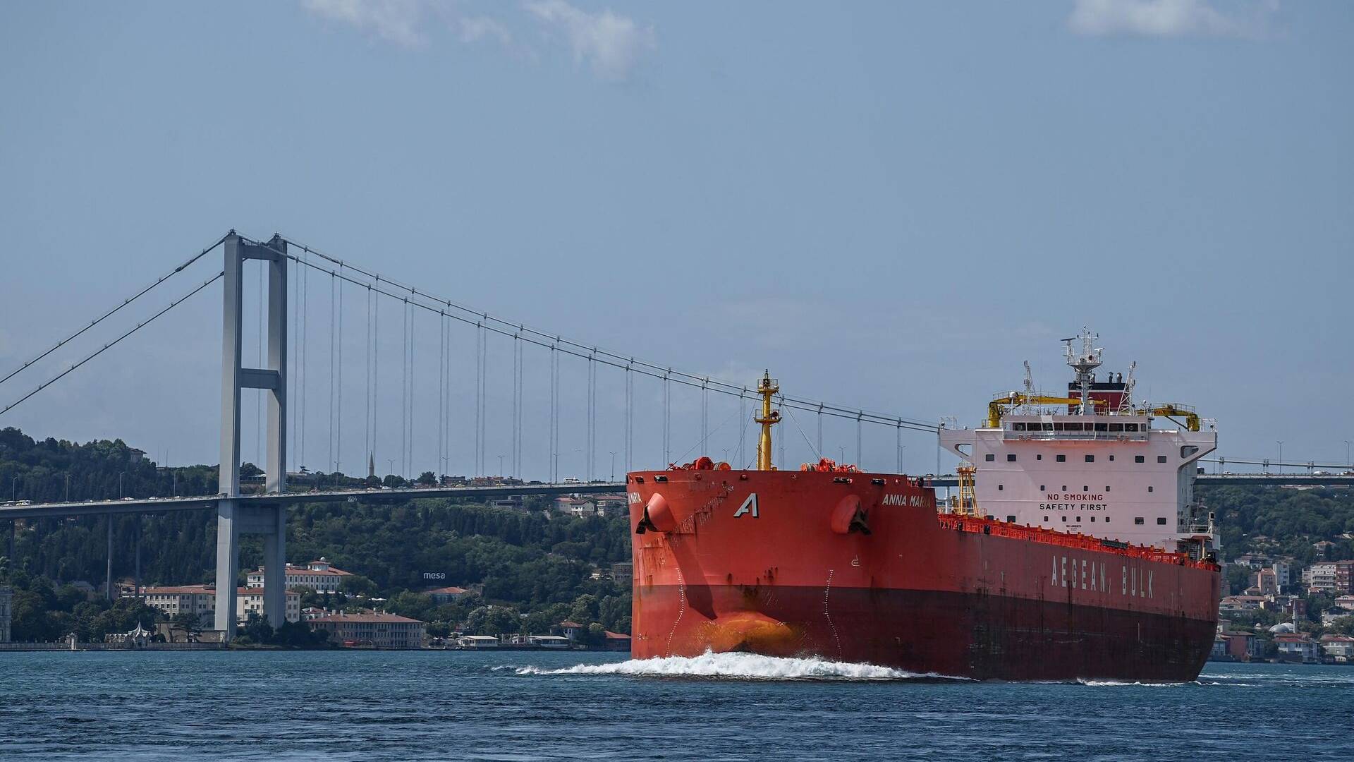 Турция: увлекательное путешествие на теплоходе по Босфору (продолжение) смотреть онлайн