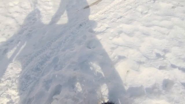 Покатушки на JHL Z8