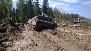 ДТ30 витязь в тайге по бездорожью.