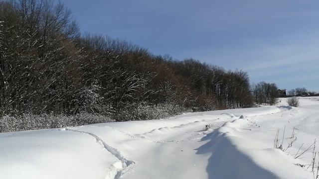 Прогулка на снегоступах