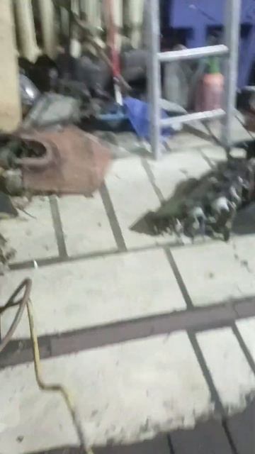 Кабина лтз 55 ,подготовка на т40 смотреть онлайн