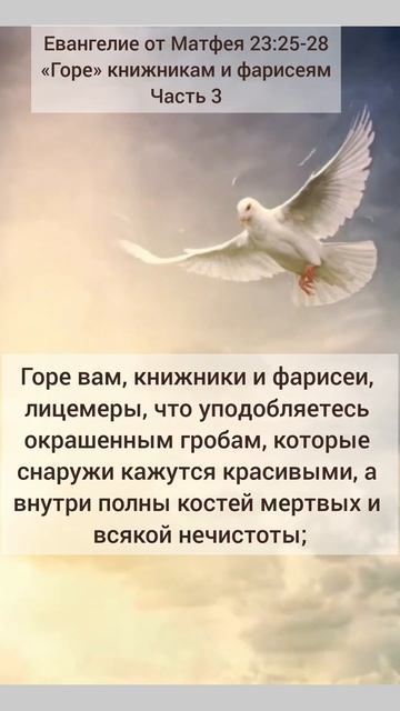 Библия. #Библия#Бог#Иисус#церковь#христианство#жизнь#л смотреть онлайн