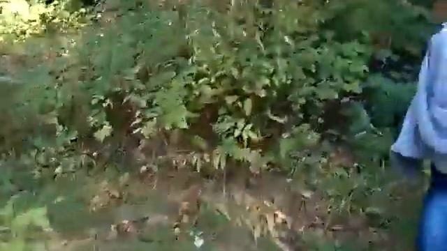 Эмо-девочки и туалет прикол смотреть онлайн
