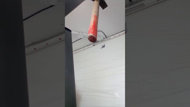 Супер мастера своего дела первоклассные ребята.Натяж? смотреть онлайн