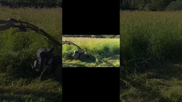 Косьба травы мотоблоком Кутаиси с сегментной косилко? смотреть онлайн