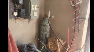 Аврора Динамика 200 Эксперт проба по меди