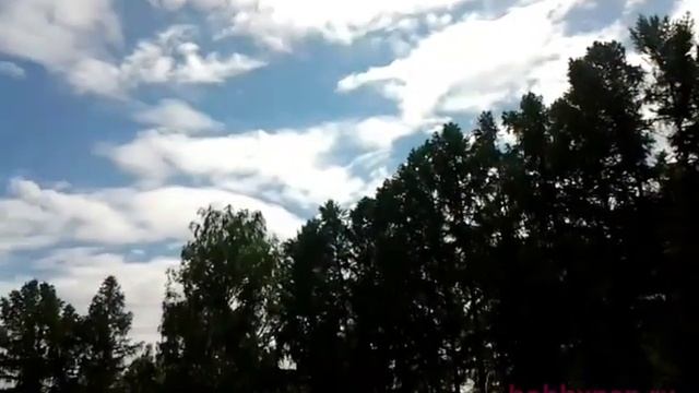 резиномоторный планер