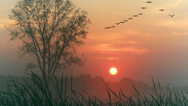 Я знаю, вы не совершенны! I know you are not perfect! The art-song. смотреть онлайн