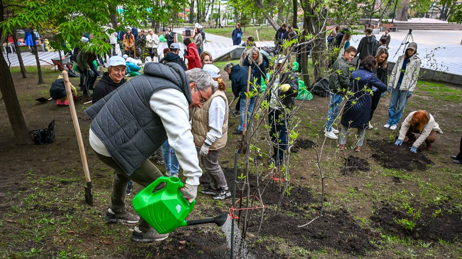«Весна в городе: Владивосток — столица рододендронов»