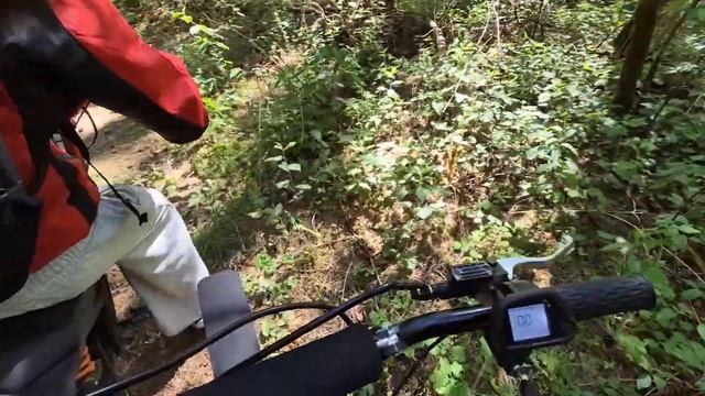 ПОКАТУШКИ НА ЭЛЕКТО ПИТ БАЙКЕ Kugoo Wish 01