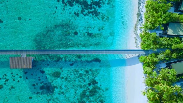 Отель Park Hyatt Maldives - Social - Overall Hotel